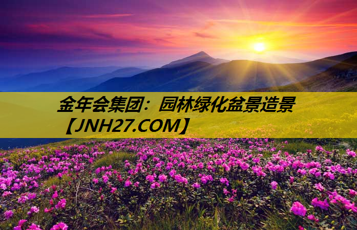 园林绿化盆景造景
